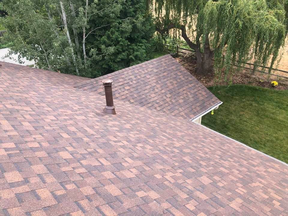 asphalt shingle roof with a tree in the background